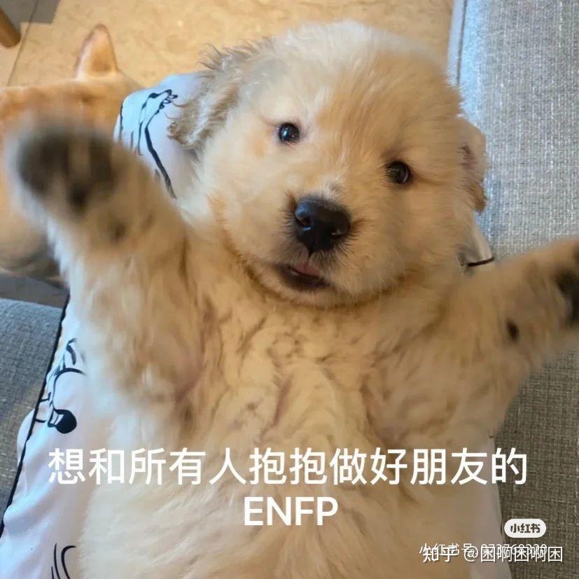 enfp会喜欢什么样的人? - 知乎