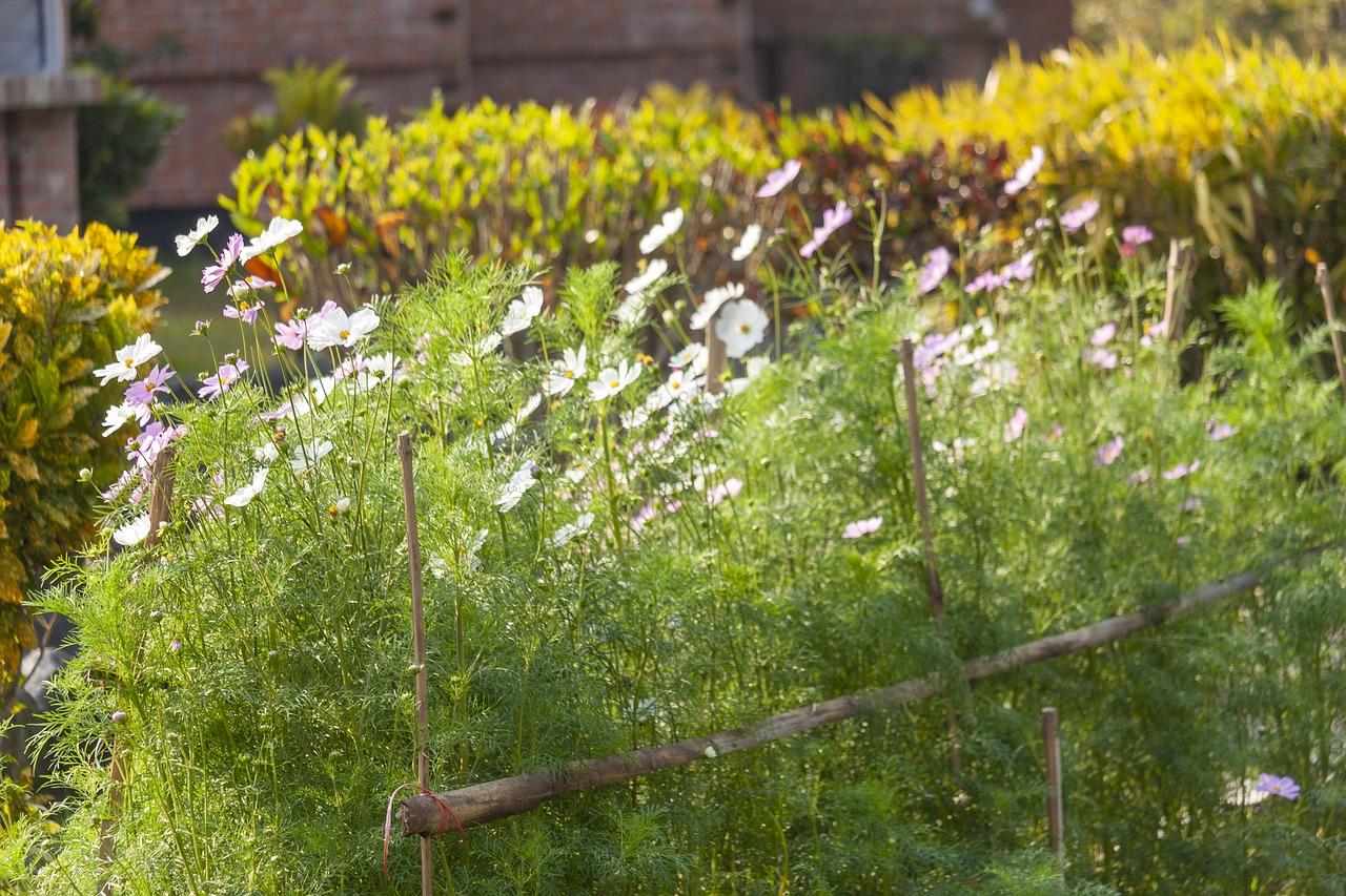 4. 生态环境优美