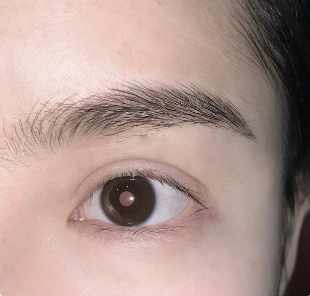 索兰黛进阶版野生眉