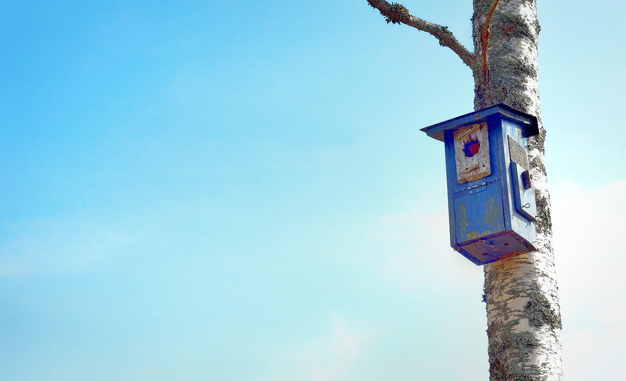 为什么香港还有笼屋