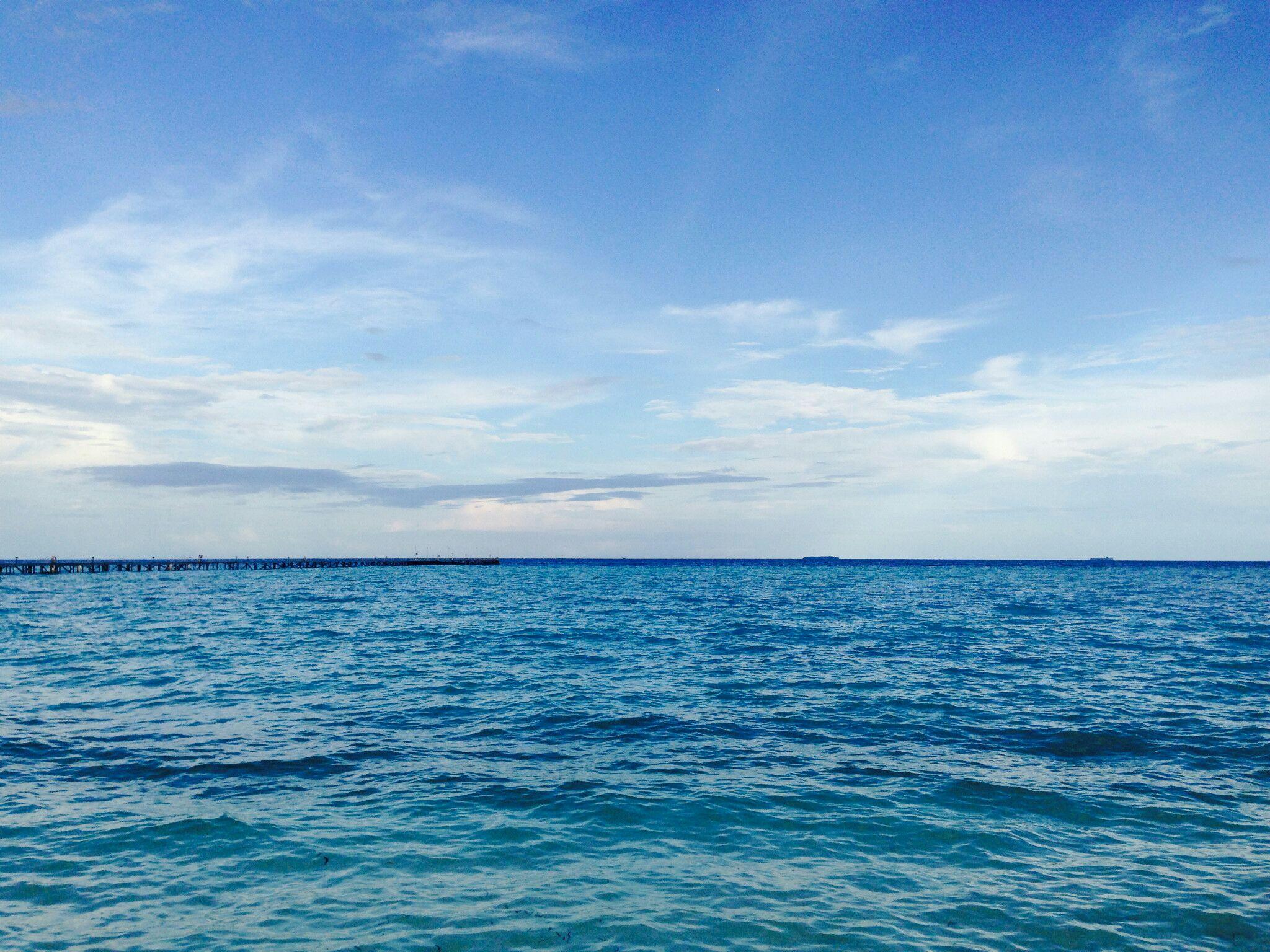 拯救海边带回的小动物——最简易无需基础的小海水观赏缸!