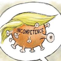 夏夜里的晚风maga