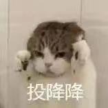 摄影场景--前景虚化 - 知乎
