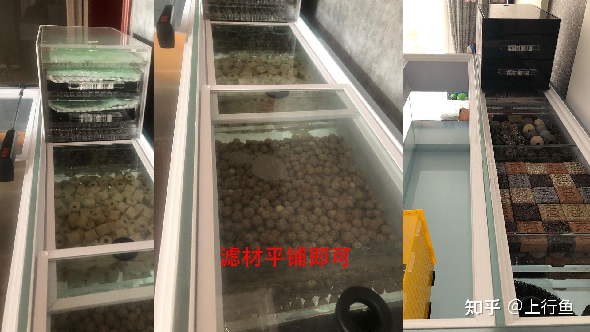 鱼缸滤材摆放顺序,你做对了吗 