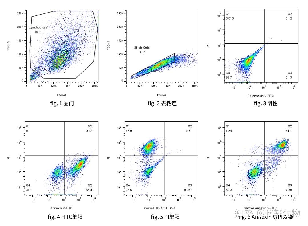 流式细胞术凋亡检测指南 | 实验原理、步骤与结果分析详解 - 知乎