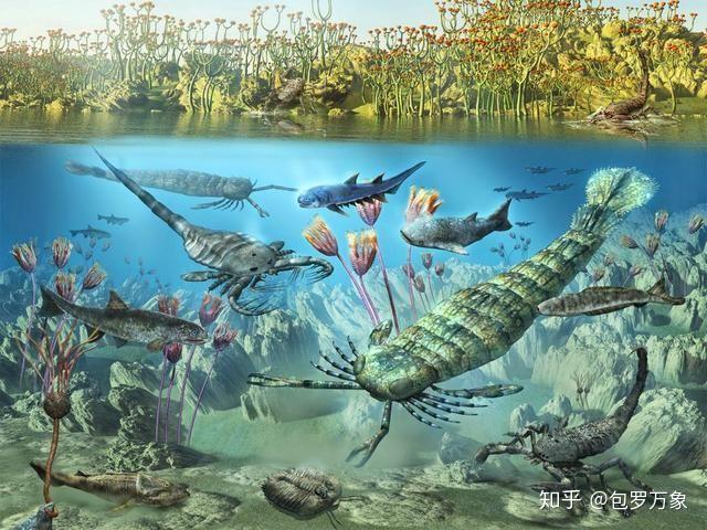 二叠纪是古生代的最后一个纪,也是重要的成煤期.