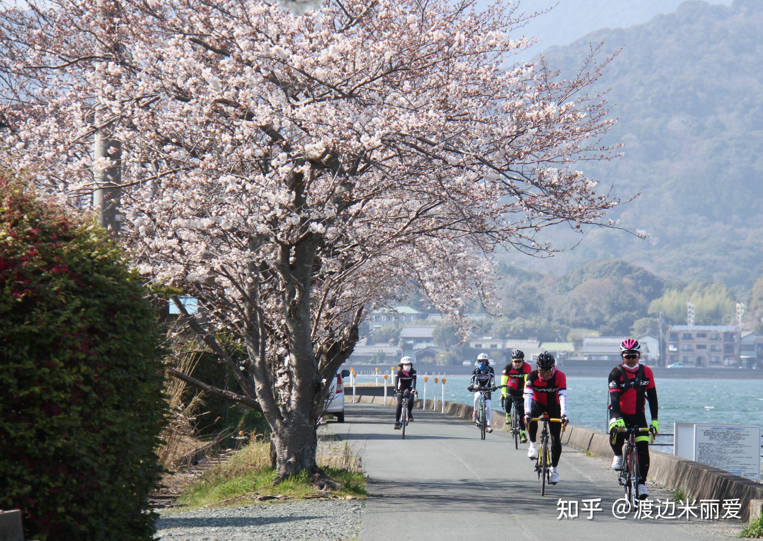 日本静冈县滨松市是一个怎样的城市? - 知乎