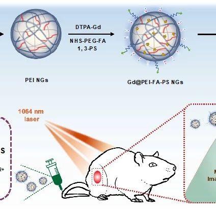 东华大学史向阳团队 Acs Ami 多功能纳米水凝胶在癌症光热治疗的最新进展 知乎