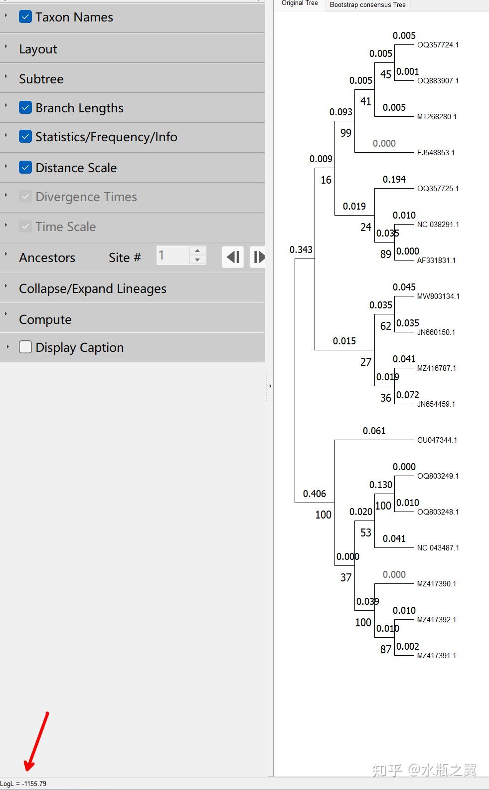 构建发育树 Bootstrap值 – Bootstrap Consensus Tree – BRVAA