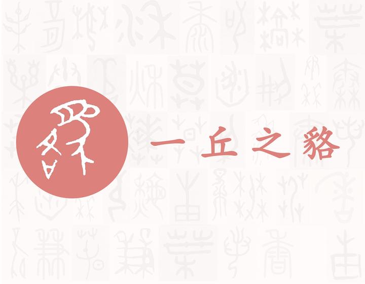 貉——每日一字·豸部字 - 知乎