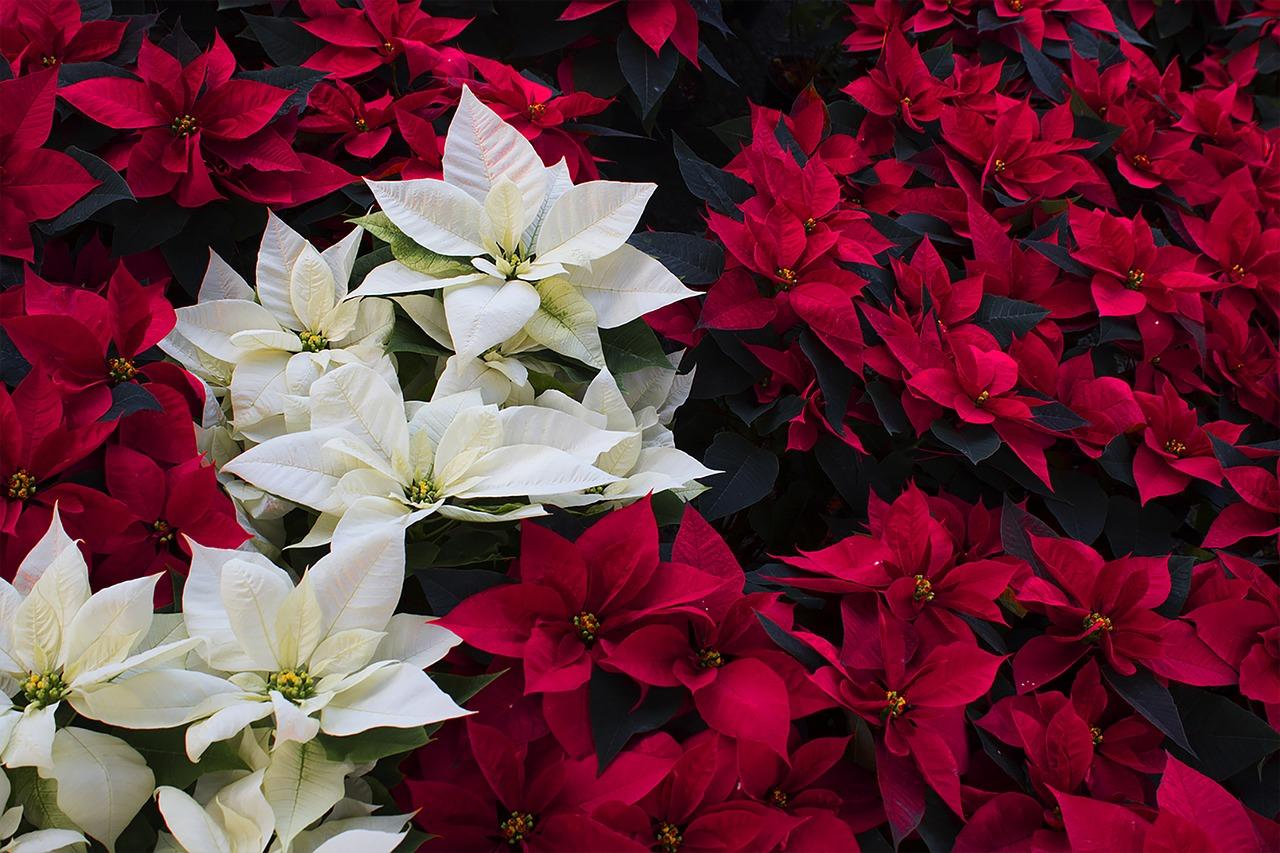 月启航,早安阳光满溢