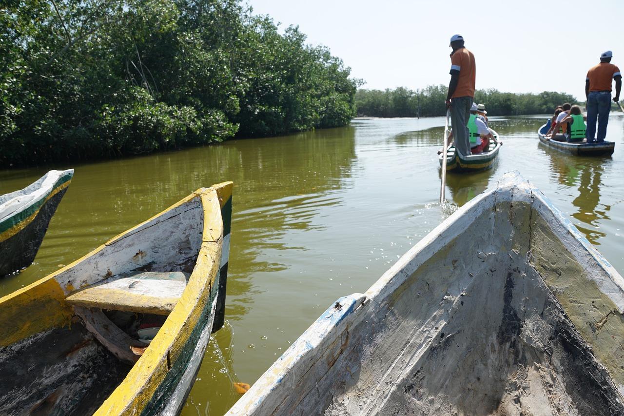 4. 喂养技巧揭秘