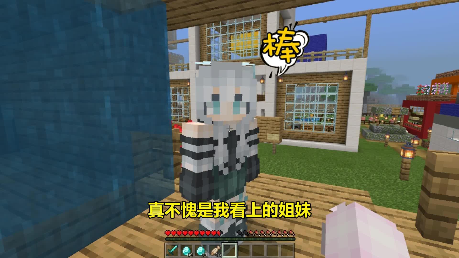 我的世界村庄故事呆呆凭空消失史蒂夫炸房实锤
