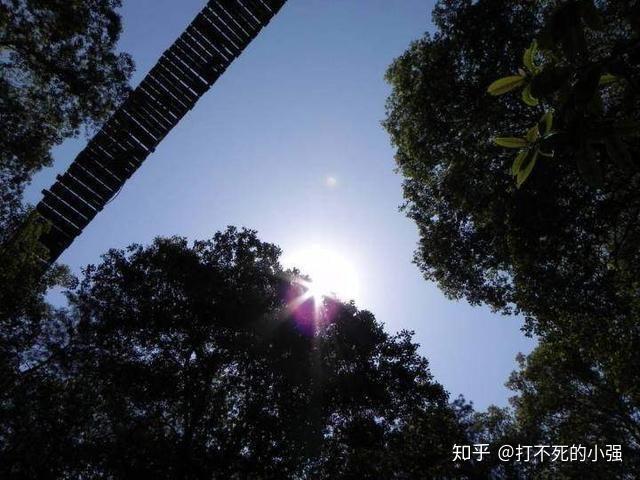 8月份去重庆旅游7天,有什么必需品要携带的?一