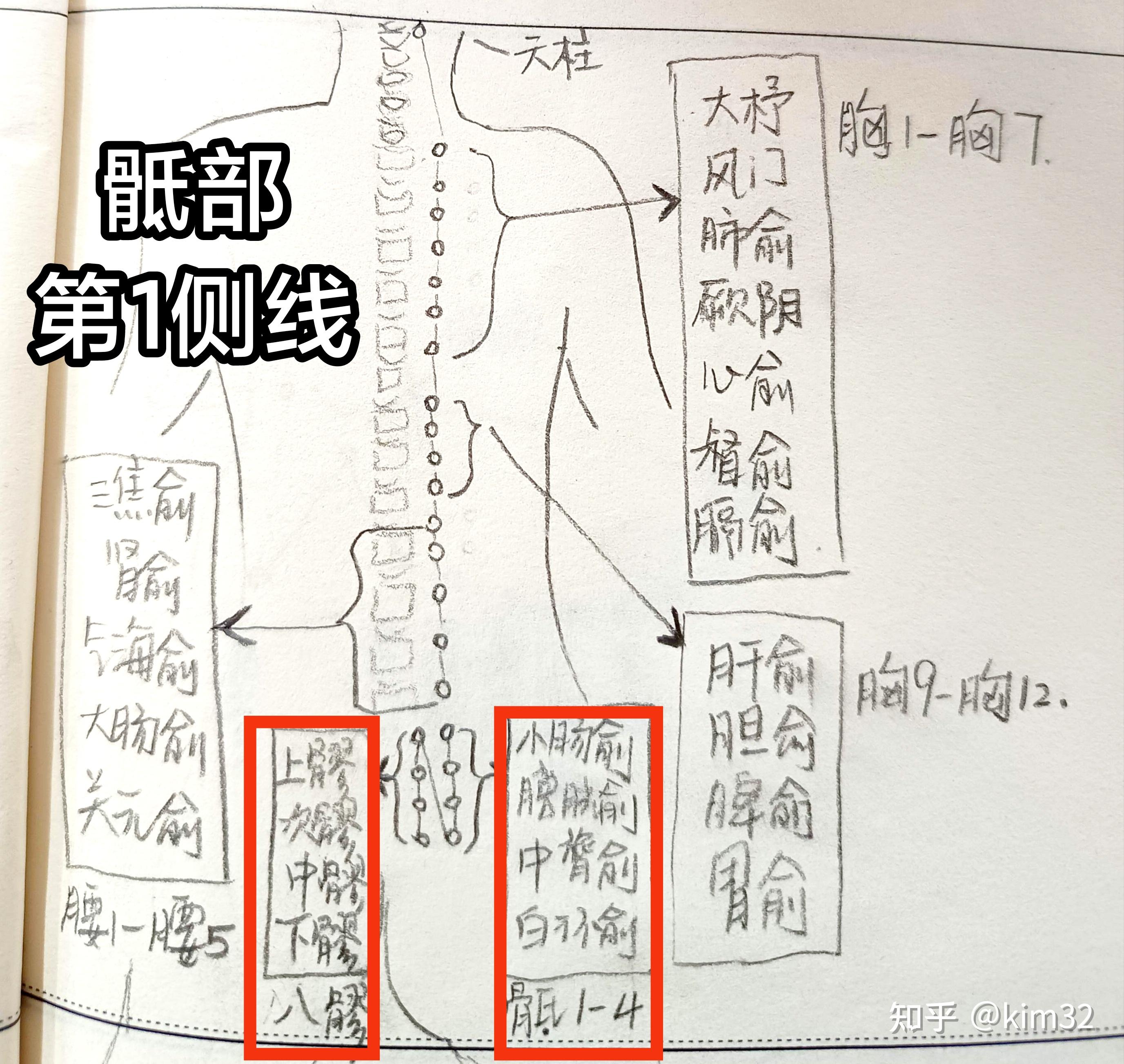 12背俞穴,12前募穴 - 知乎