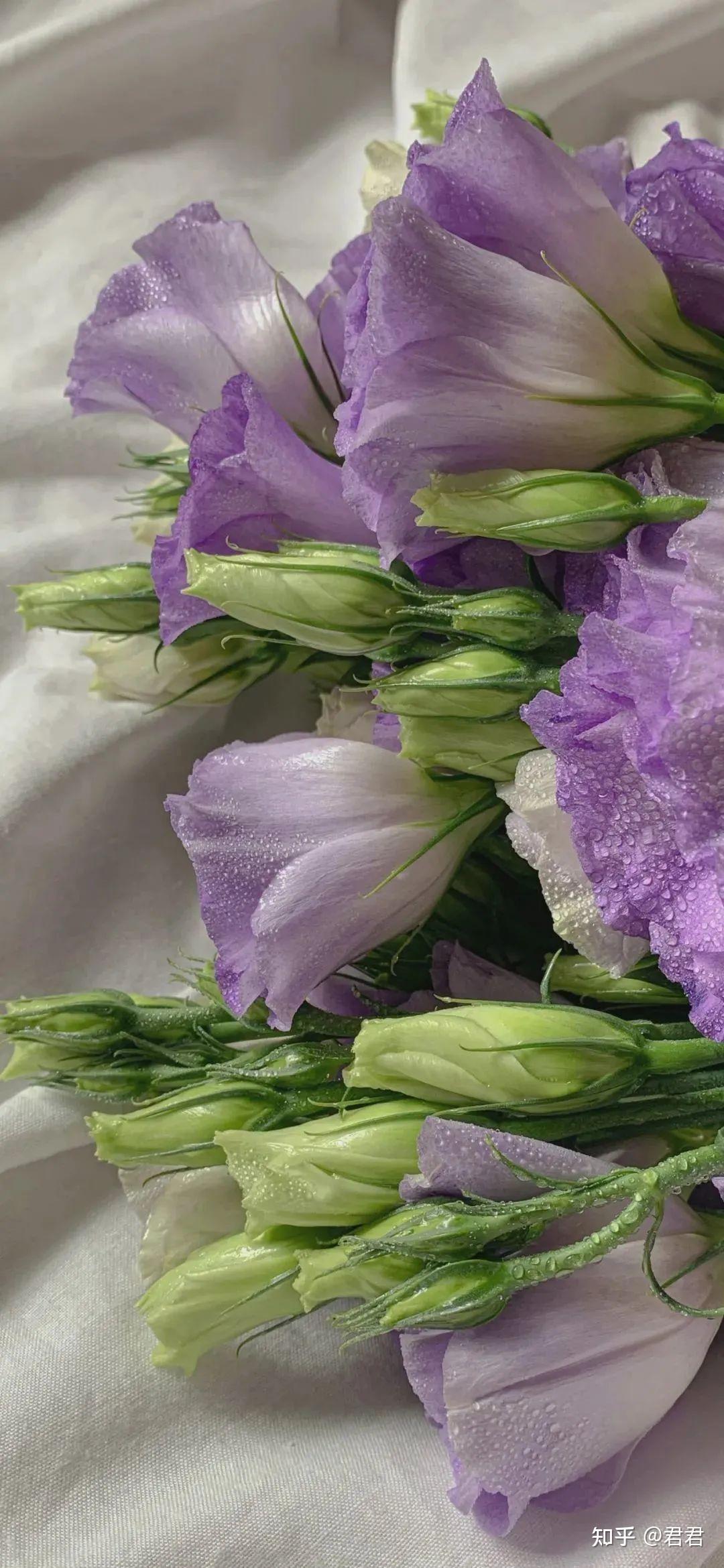 美式复古壁纸|复古高级感壁纸|所有的好 都不如刚刚好