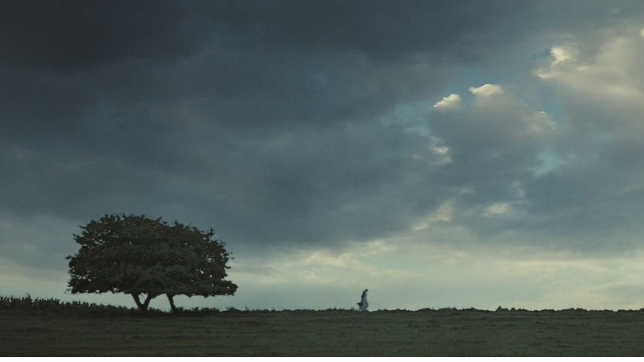 day10看电影学习课件构图与排版