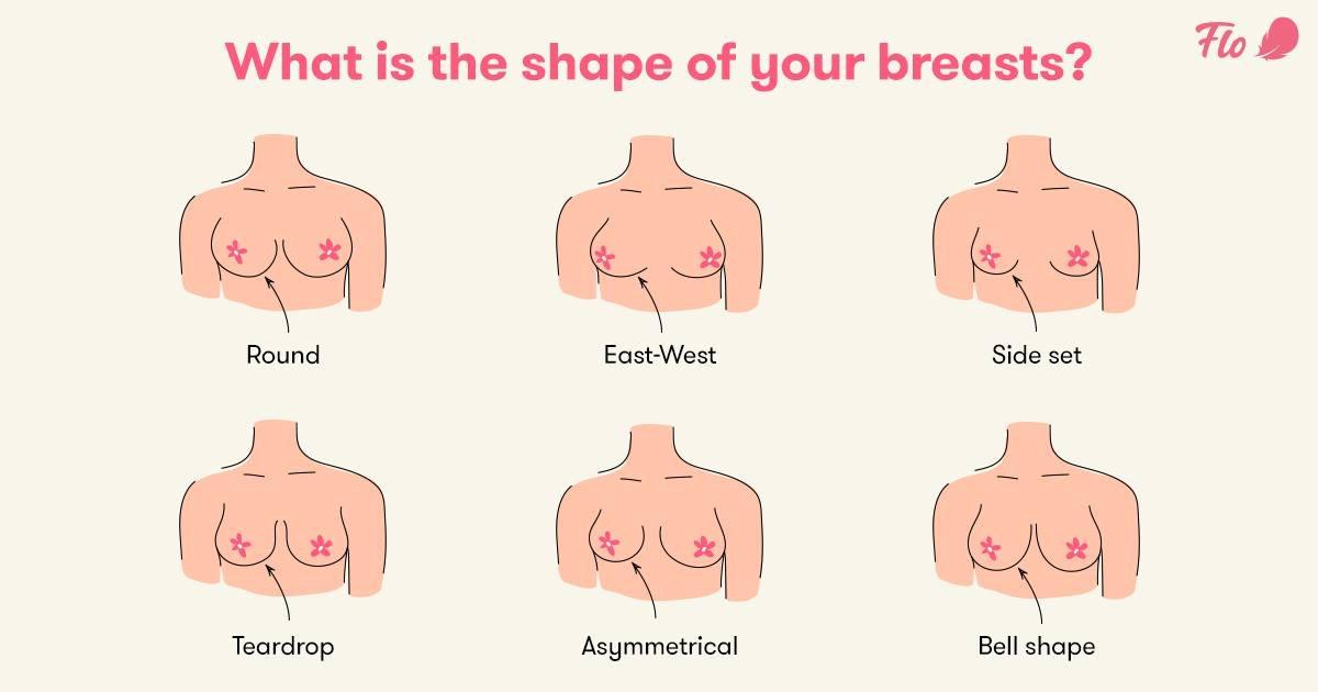 最普遍的胸型有: 圓形胸——乳房的上半部和下半部一樣飽滿.