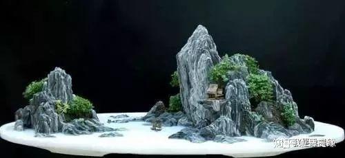 世界上最贵盆栽,一盆就是一座房子-最贵的盆景是什么品种