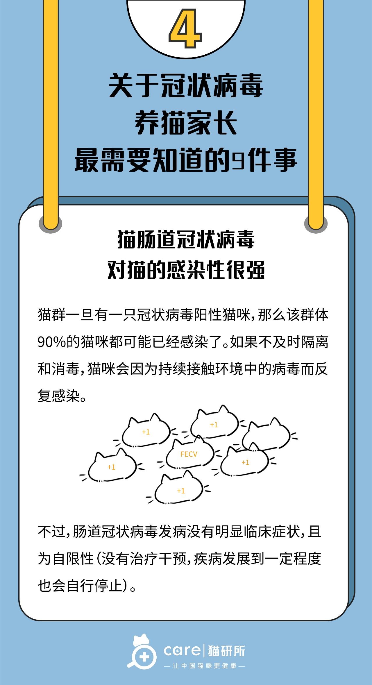 关于冠状病毒养猫家长最需要知道的9件事