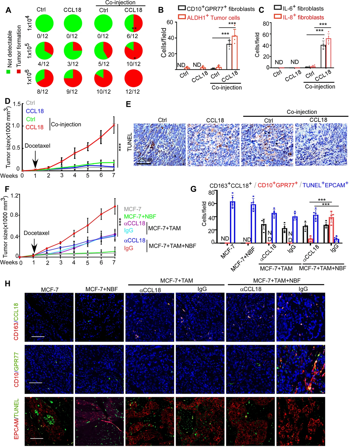 Raybio Oncogene(IF:8.756)|RayBio抗体芯片助力助力乳腺癌治疗研究 - 知乎