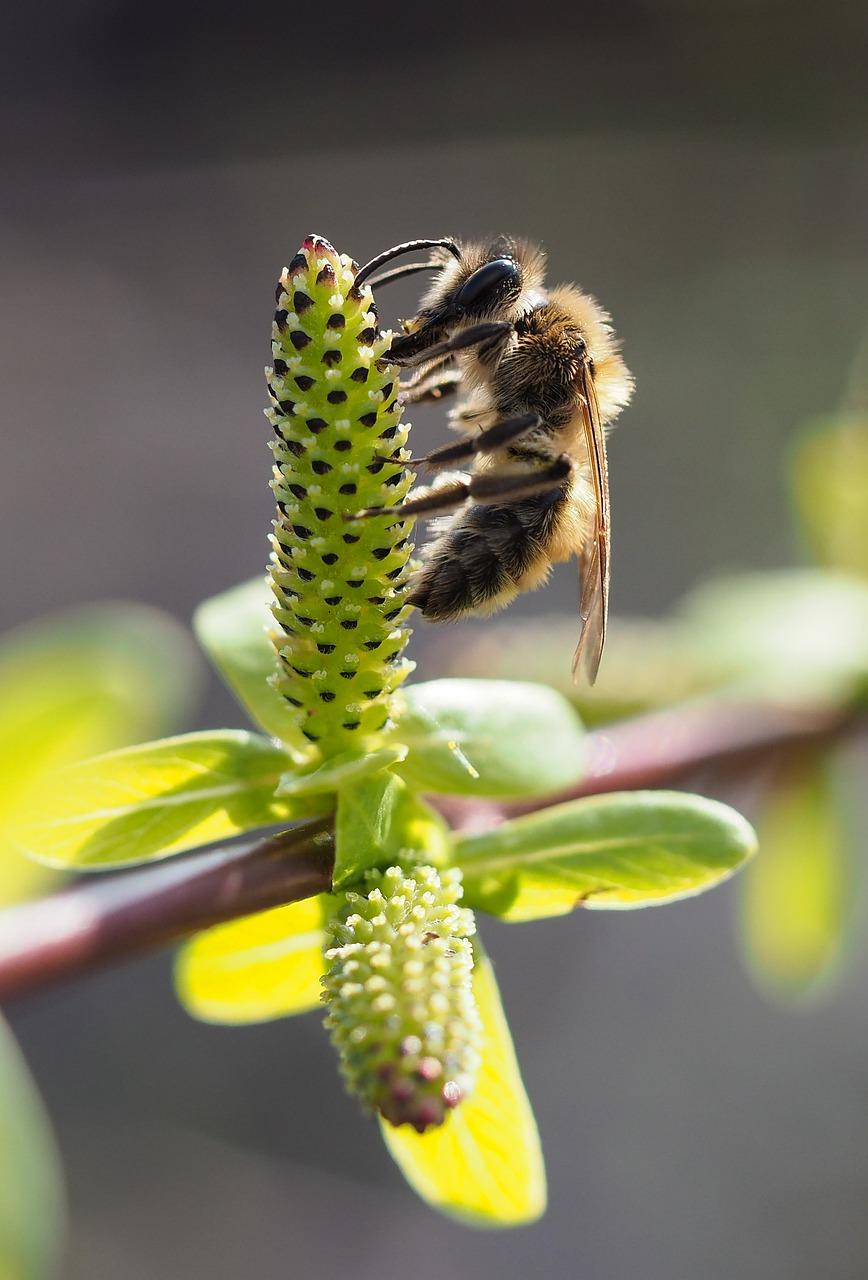 宏桂东n在哪里