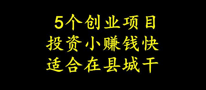 那种创业投资小(适合创业投资小的项目)