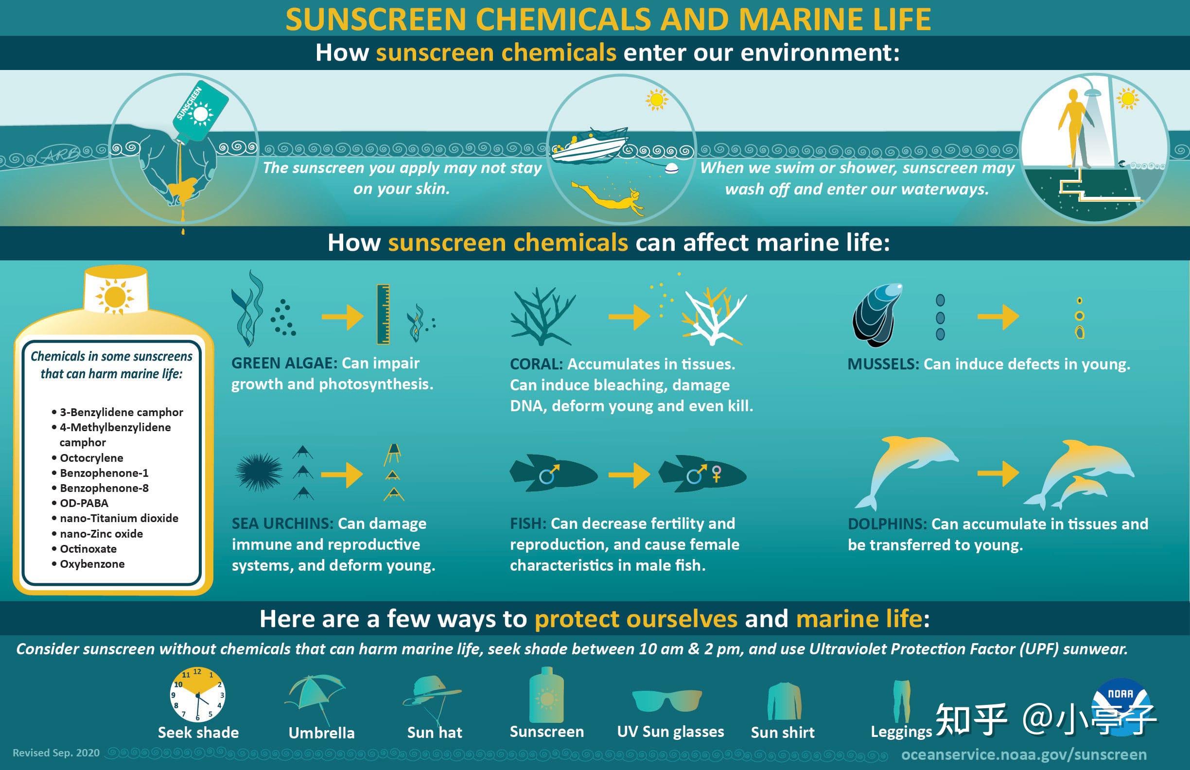 Ocean Friendly Sunscreen ocean-friendly-sunscreen