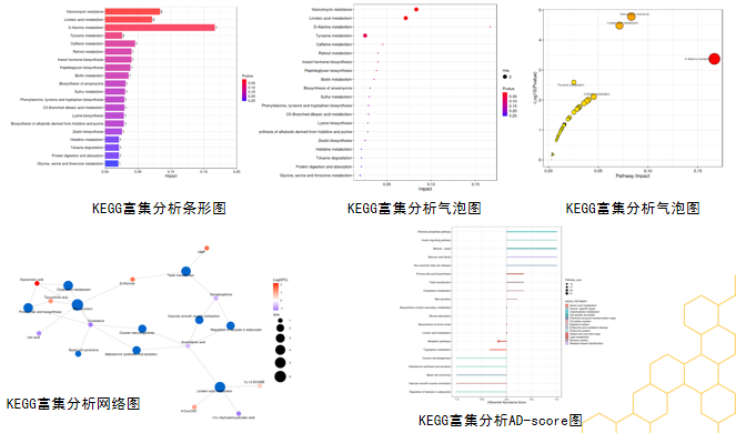代谢组学报告怎么看？ - 知乎