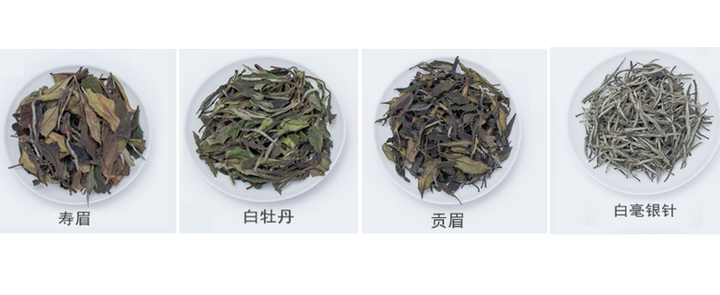 白茶品牌推荐！福鼎白茶怎么选？寿眉/白牡丹/白亳银针哪个好？口粮茶