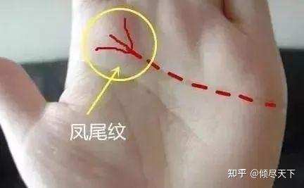手相有“凤尾纹”的人， 一生福禄多， 至少旺三代！