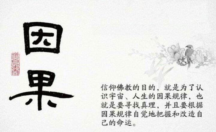 种下因,得众生果