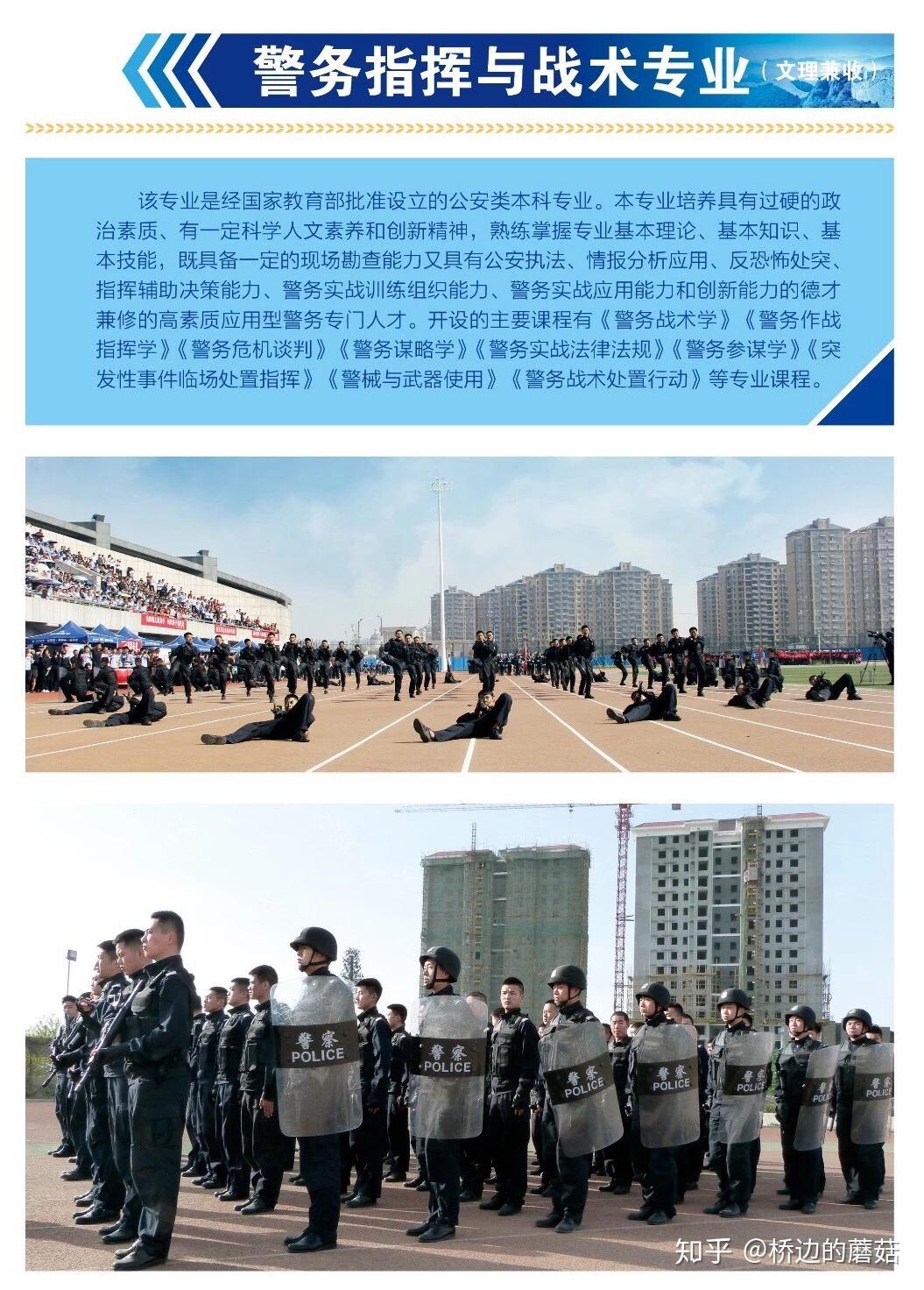 v2-cf6ab35f1bd40735693183587297cd6c_r.jpg