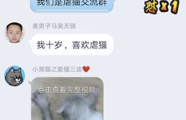 那些虐猫的变态 其实更想杀人 知乎