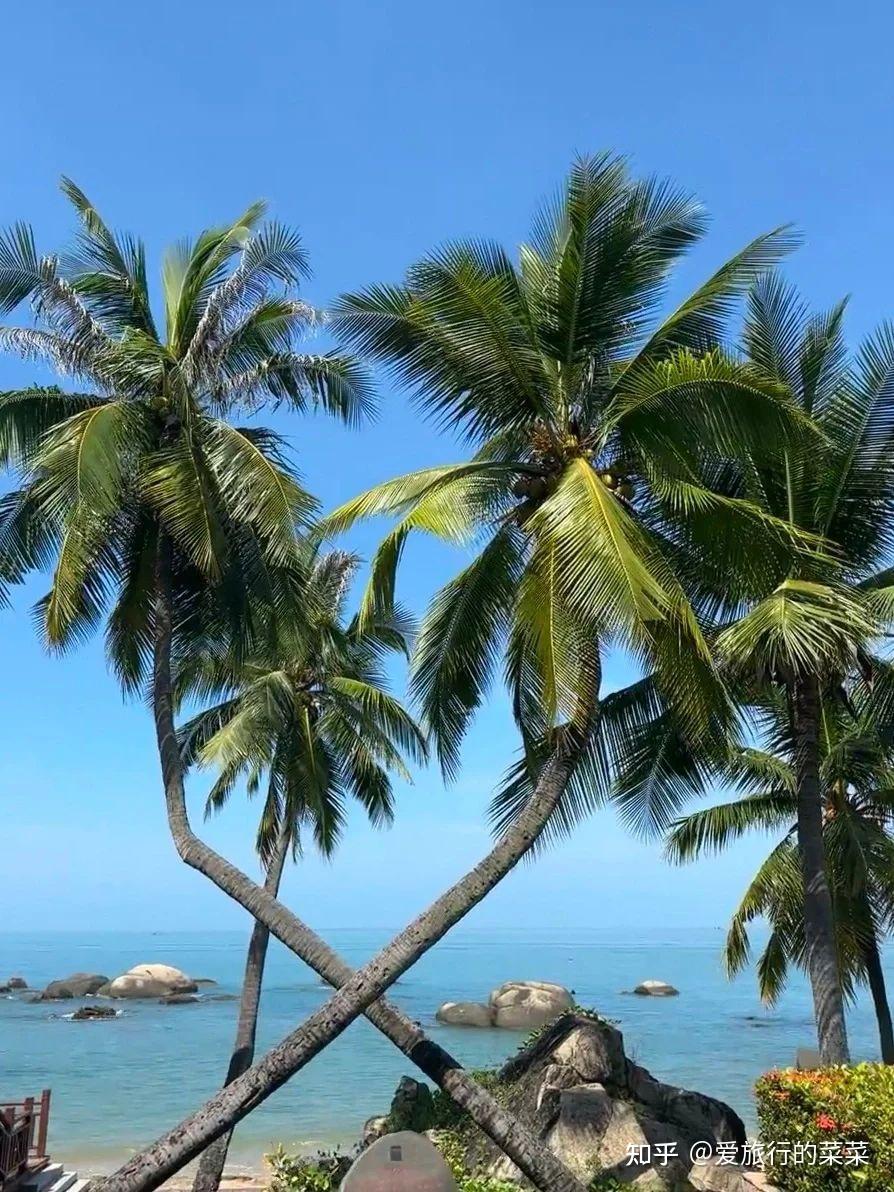 带爸妈三亚旅行🏝️这个攻略太省心啦🎈 - 知乎