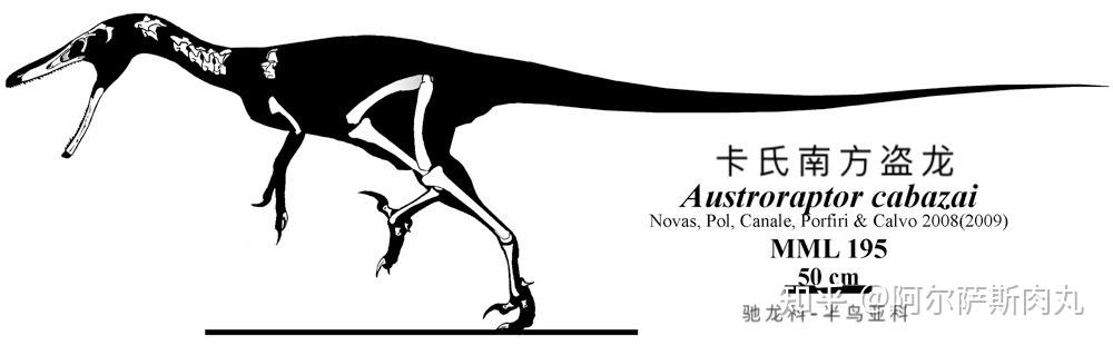 legendofcretaceous丨白垩传7龙驰天下上