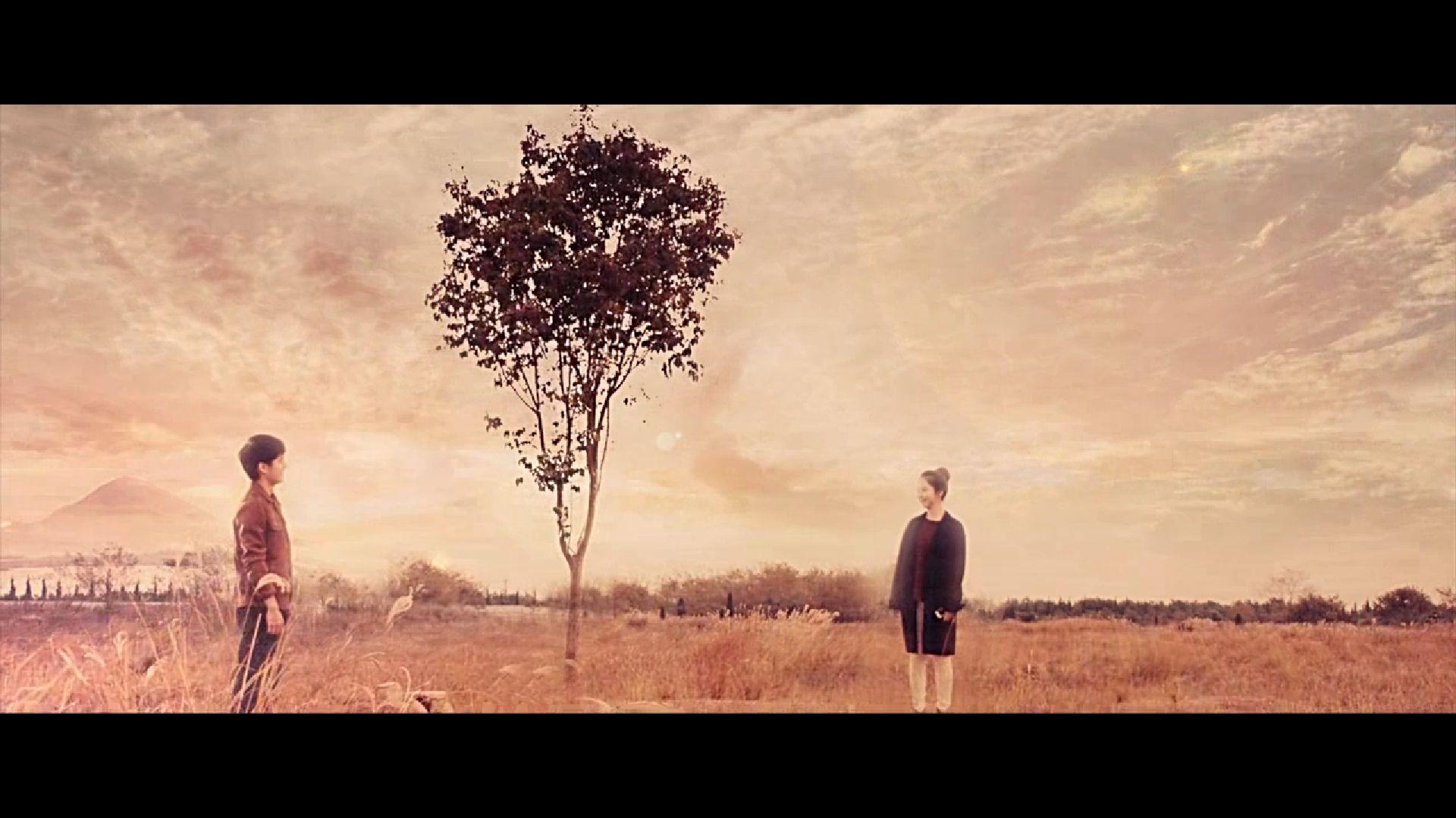 感谢最好的我们让我回忆起了整个青春