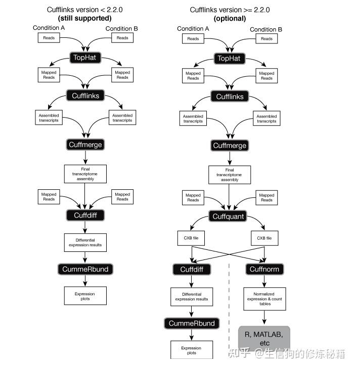 Cuffdiff Beta 转录组分析(四)tophat+cufflinks篇 - 知乎