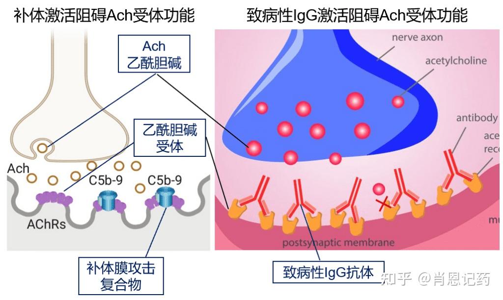 gmg联盟代理