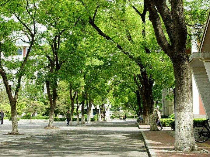 在面积特别小的大学上学是怎样一种体验? - 细