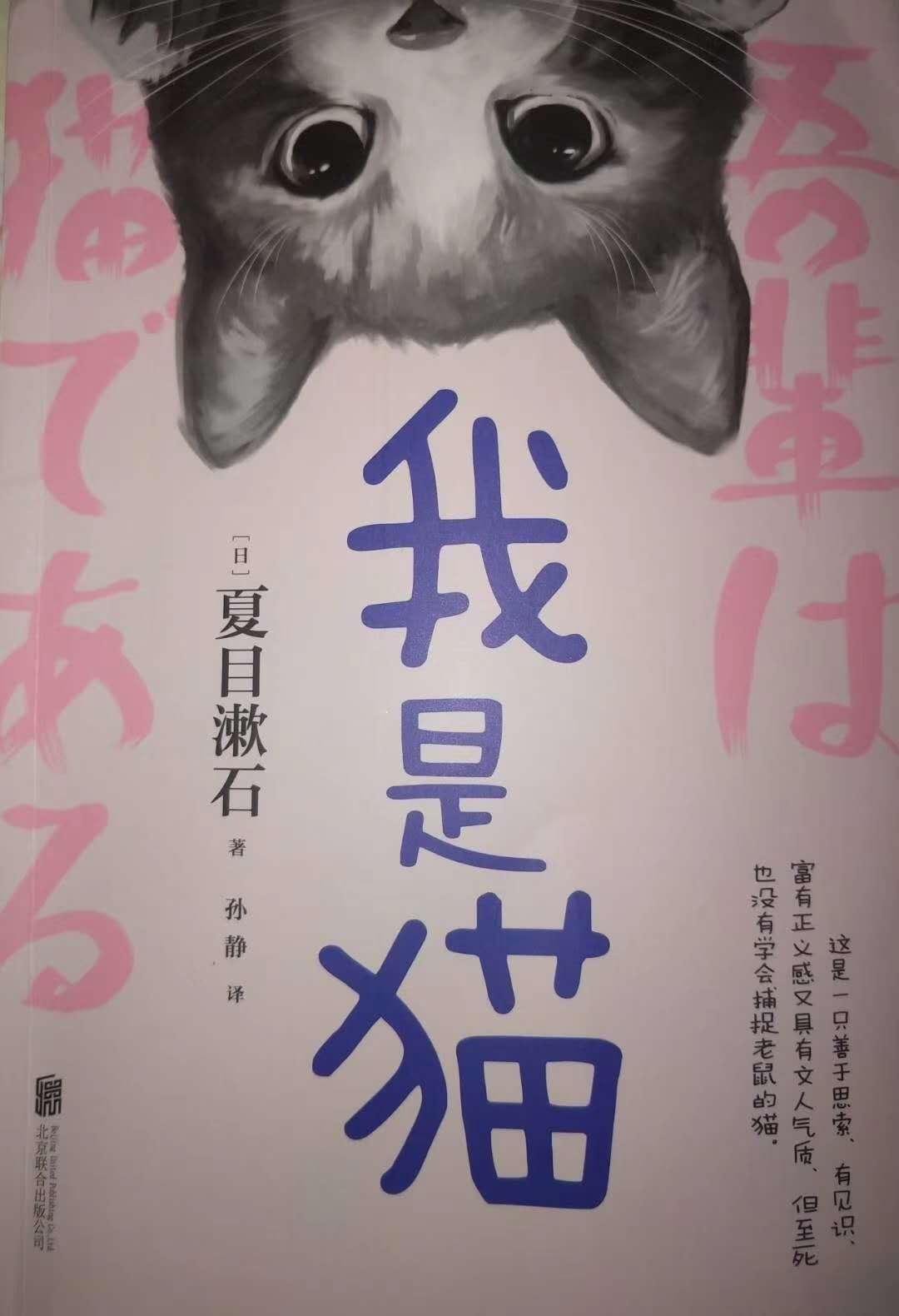 猫与猫语 知乎