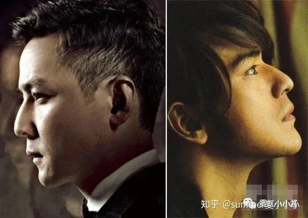 其实仔细看荧屏上的很多男明星,他们的鼻子是存在一些硬伤问题的.