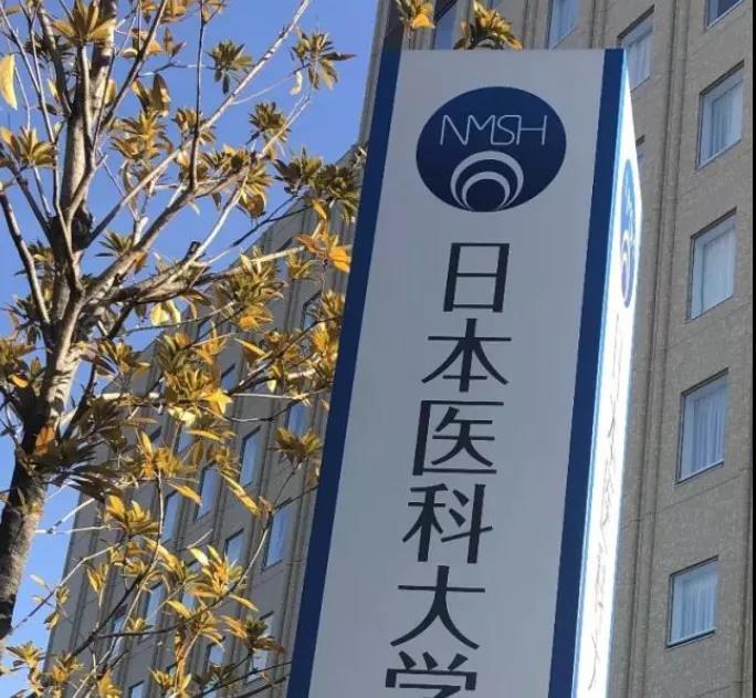 日本医学博士你值得申请