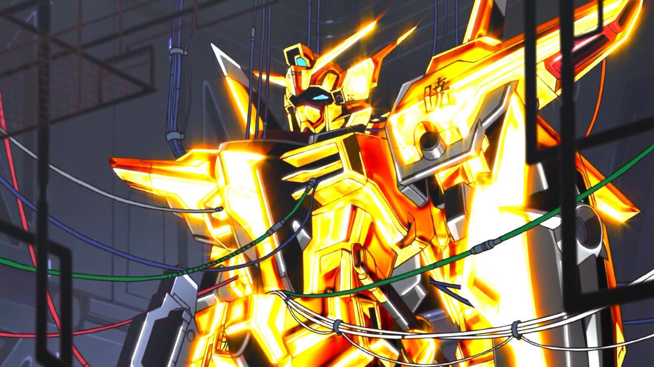 你看见的是命运的眼泪机动战士高达seeddestiny