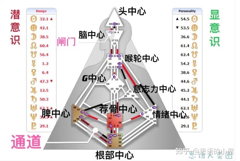 人类图测算图片