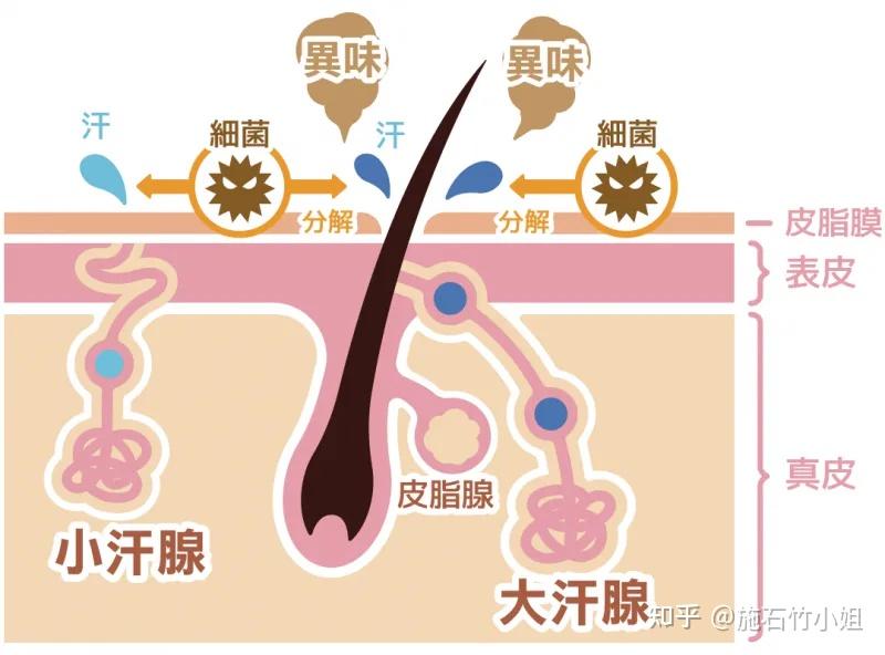 狐臭都有哪些症状？如何自我辨别 - 知乎