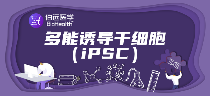 诱导多能干细胞（iPSC）的自述 - 知乎
