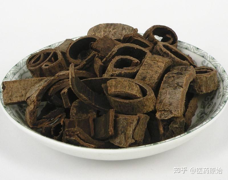 带你识别秦皮 - 知乎