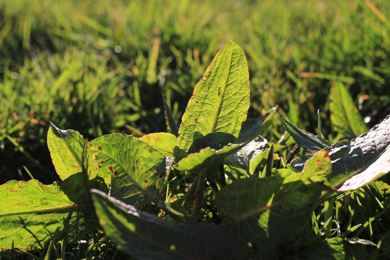 2. 调整光照环境