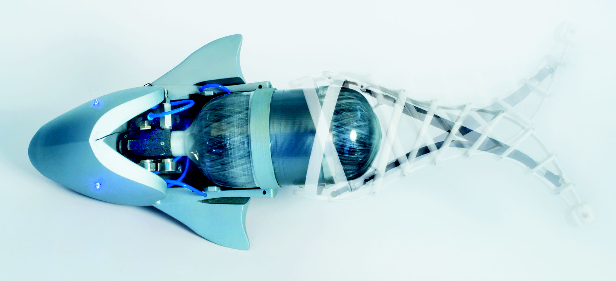 欢迎来到仿生动物园